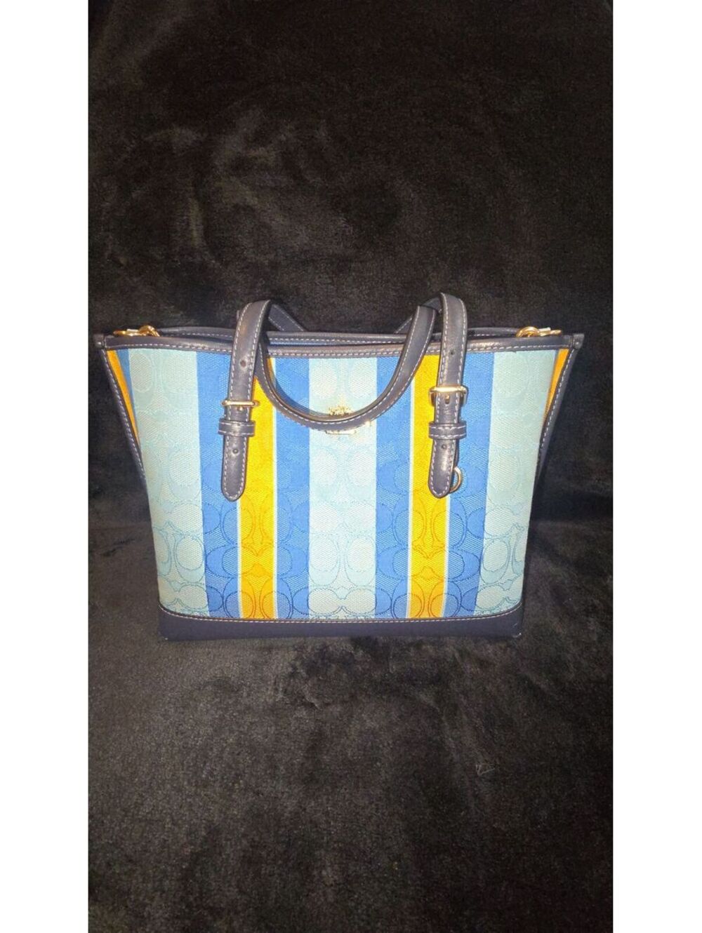 20. 2021 Coach Mollie Mini Tote 25 C4086